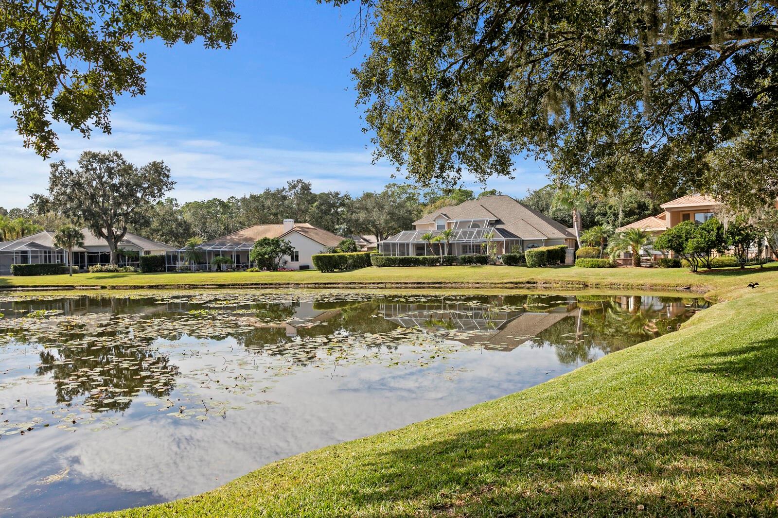 TAMPA PALMS - Residential