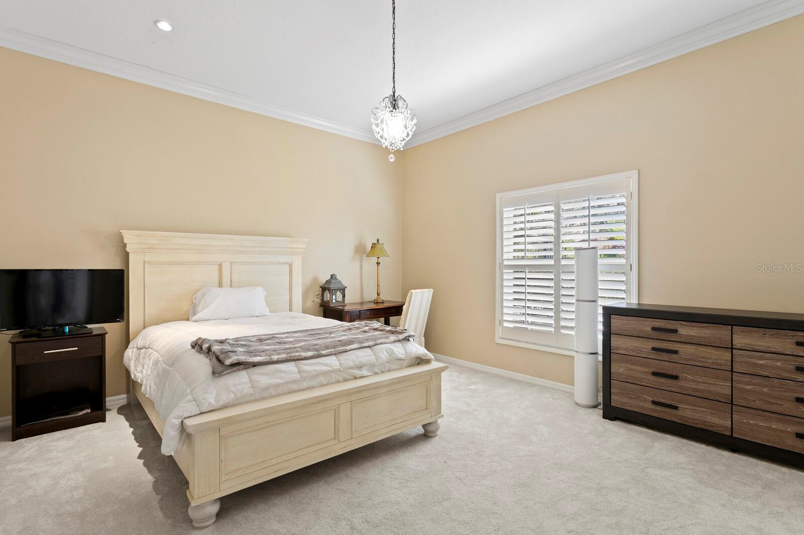 TAMPA PALMS - Residential