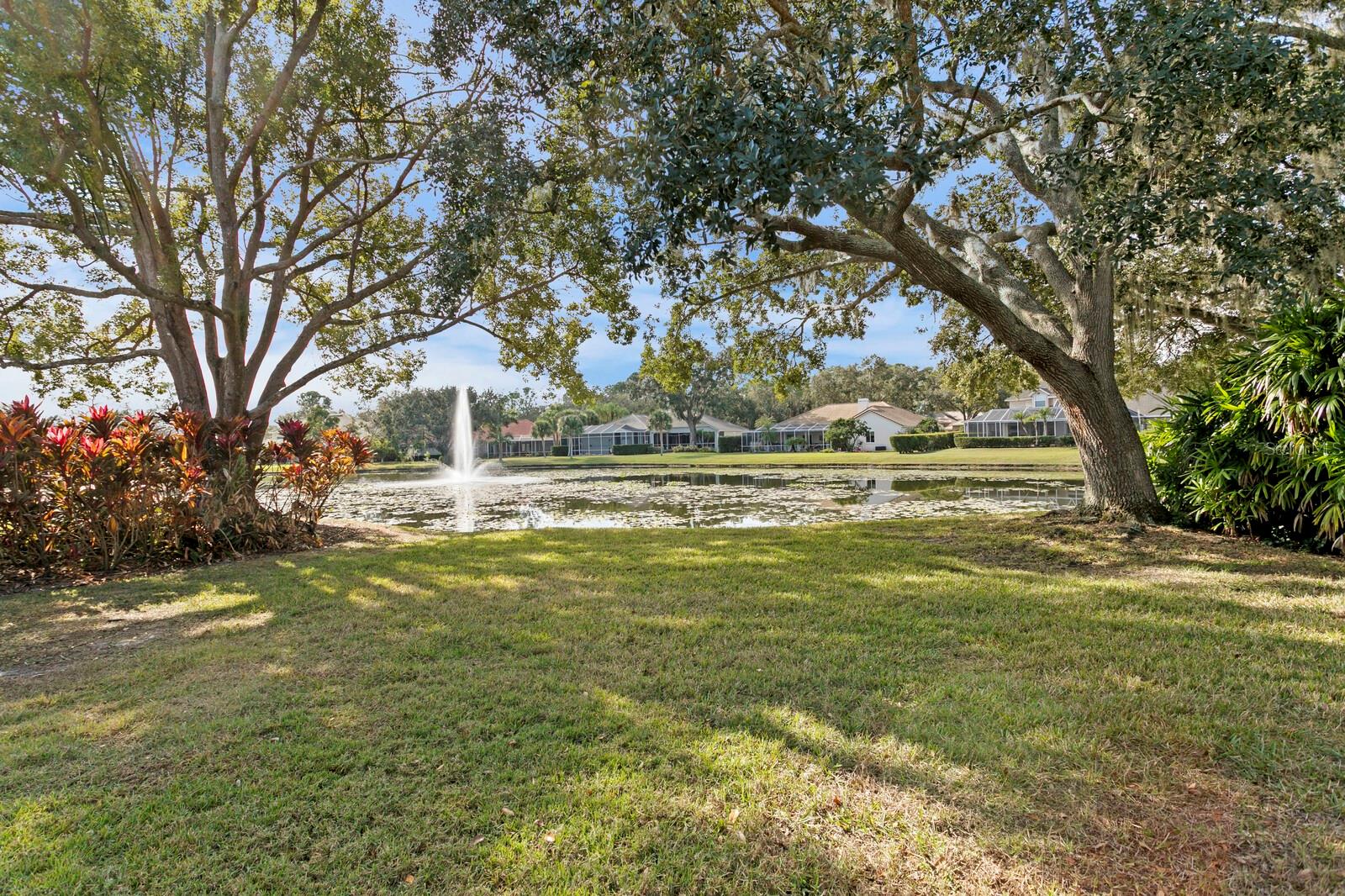 TAMPA PALMS - Residential