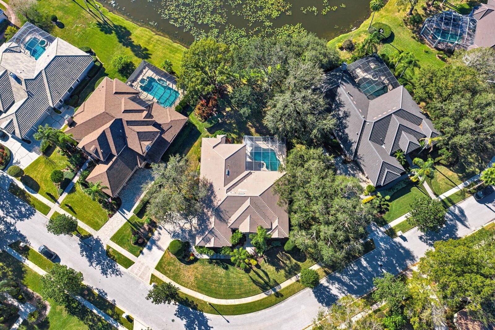 TAMPA PALMS - Residential