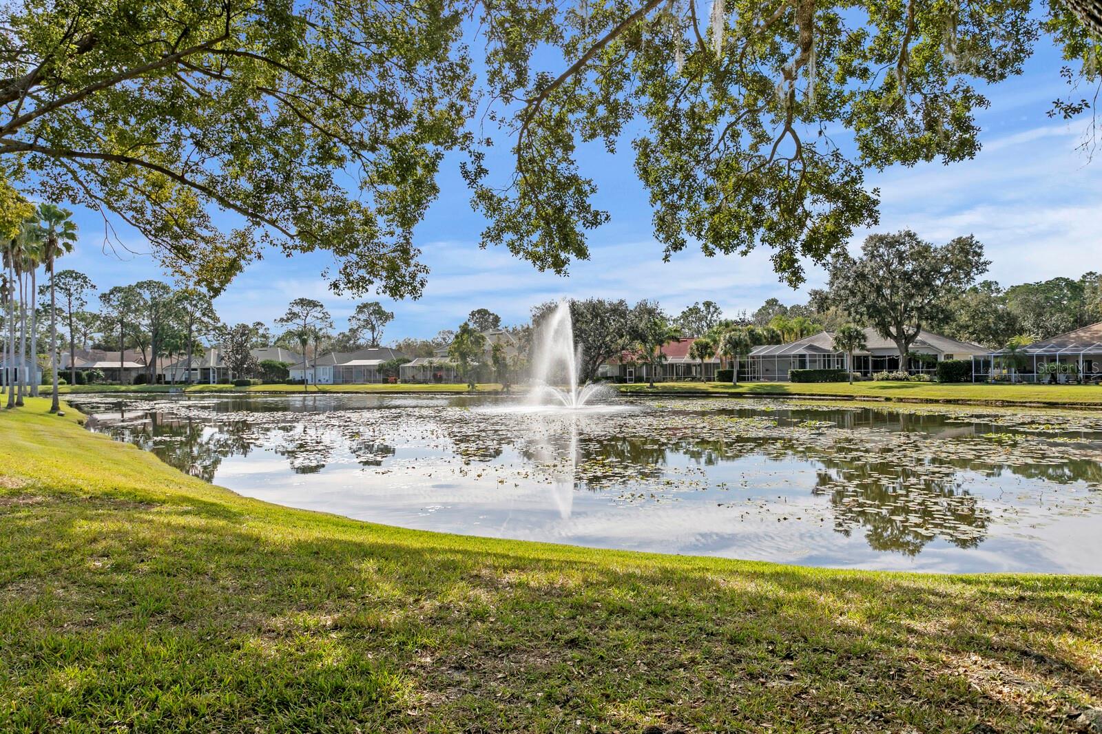 TAMPA PALMS - Residential