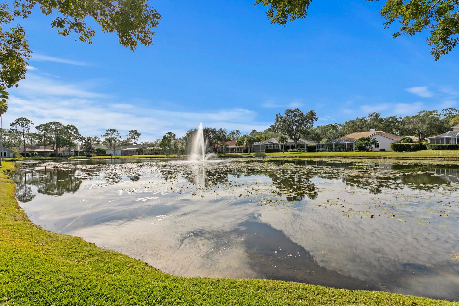 TAMPA PALMS - Residential