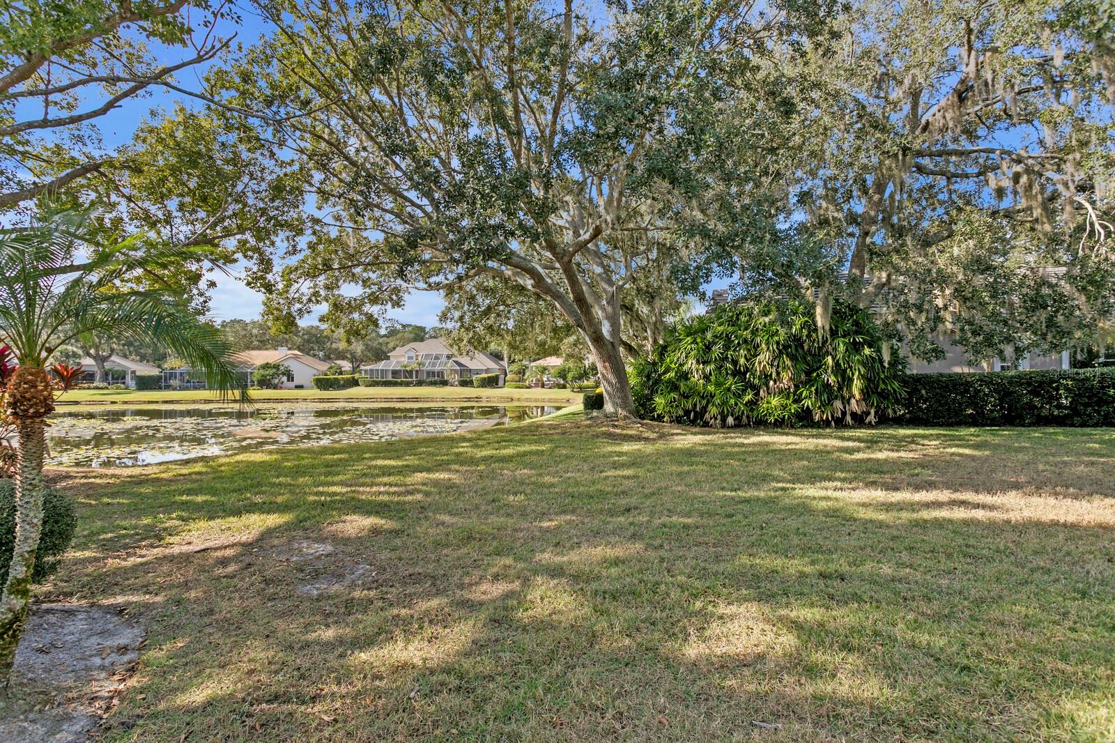 TAMPA PALMS - Residential