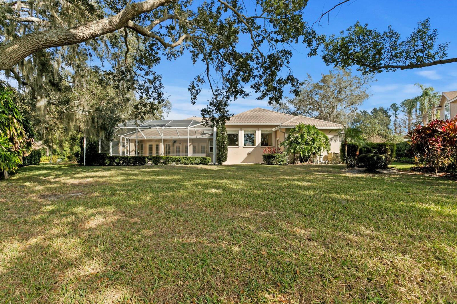 TAMPA PALMS - Residential