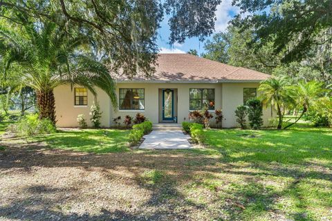 Photo of 26833 Anderson Ranch Road, Yalaha, FL 34797 (MLS # G5111671)