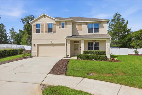 Photo of 831 Oak Hollow Loop, Deland, FL 32724 (MLS # V4948653)