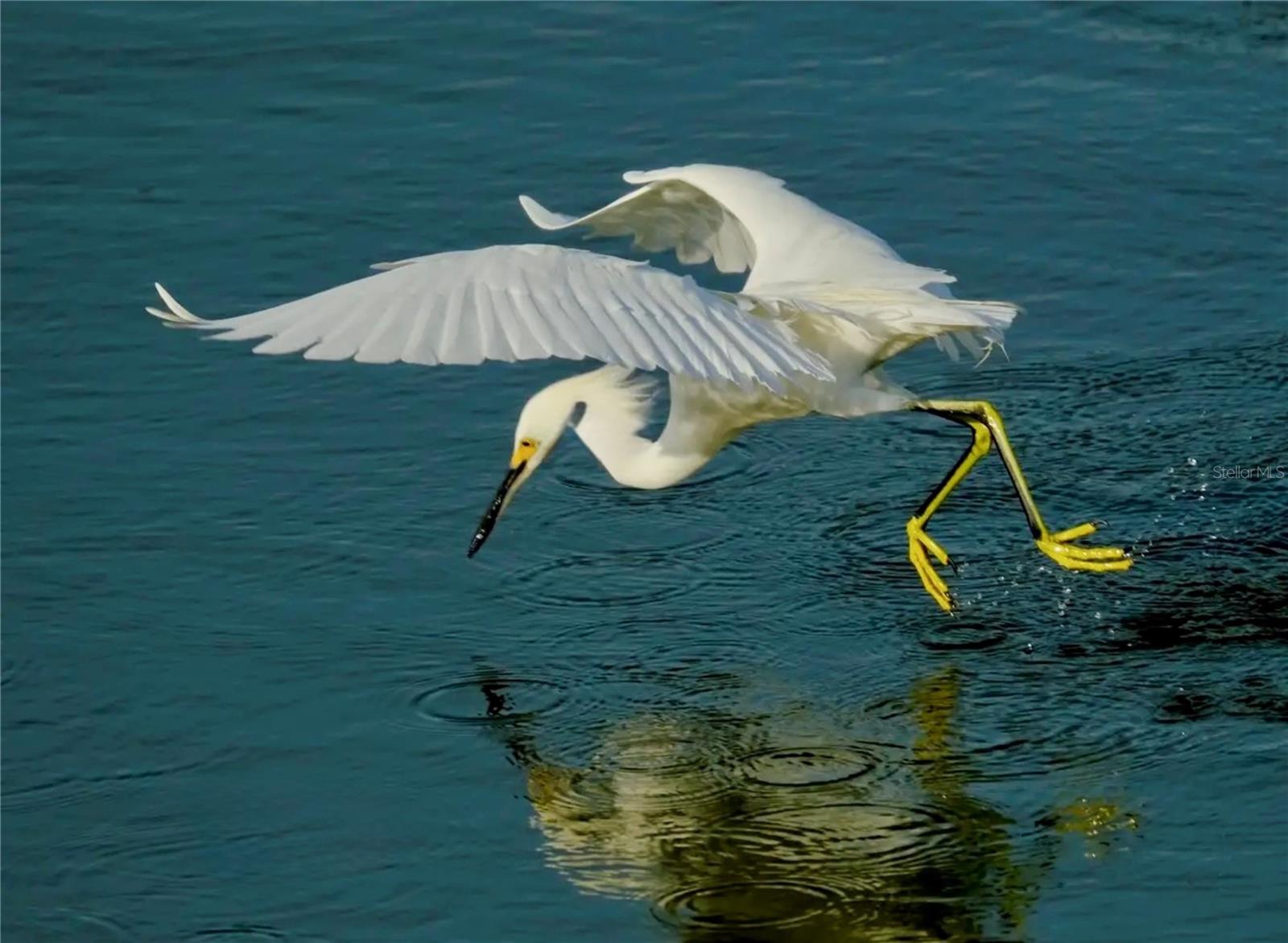 MOUNT VERNON PH 1 - Residential