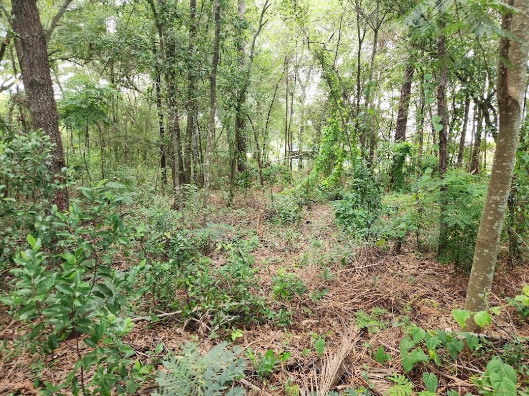 Lot 6 SE BAHIA CT. TERRACE