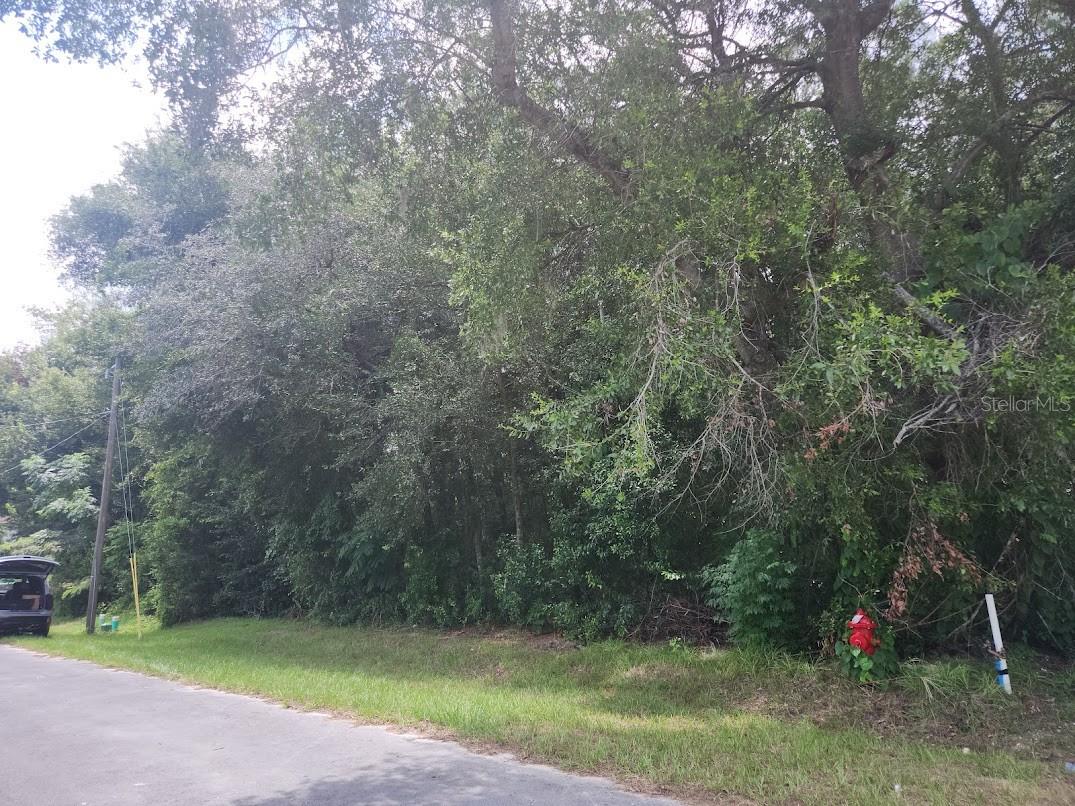 Lot 6 SE BAHIA CT. TERRACE