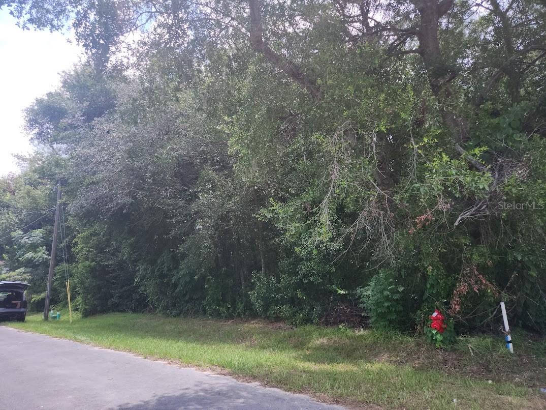 1/4 acre lot, wooded, level, fire hydrant in front of the lot.