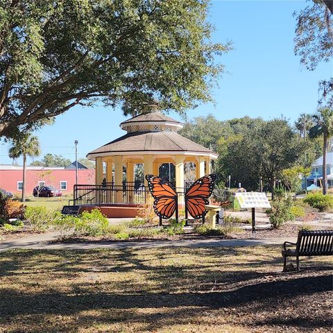 A home in ORANGE CITY