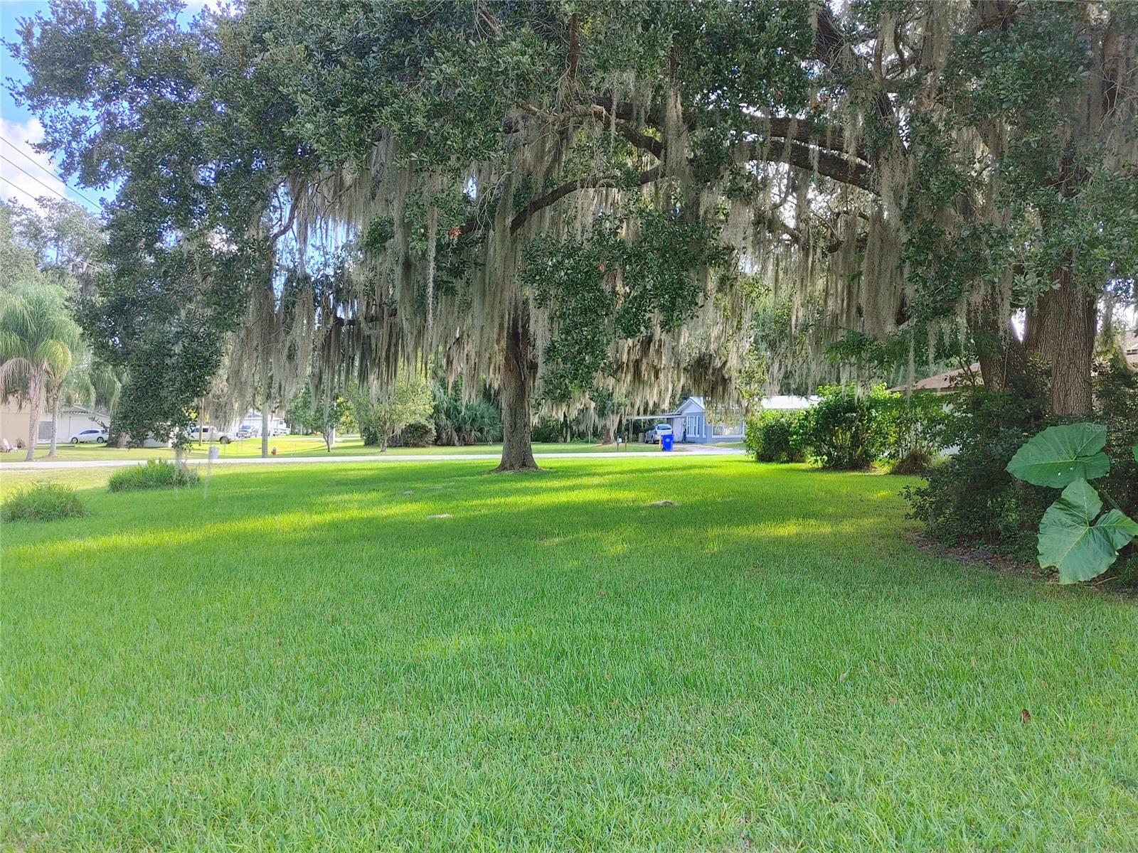 Florida Shores 01 - Residential