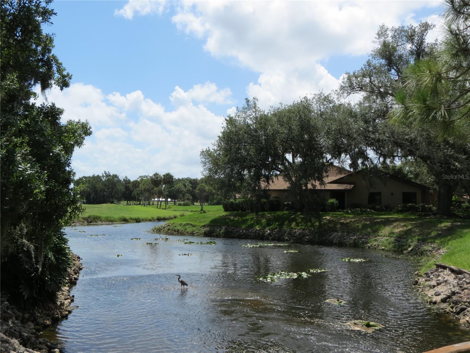HAMMOCKS II - Residential