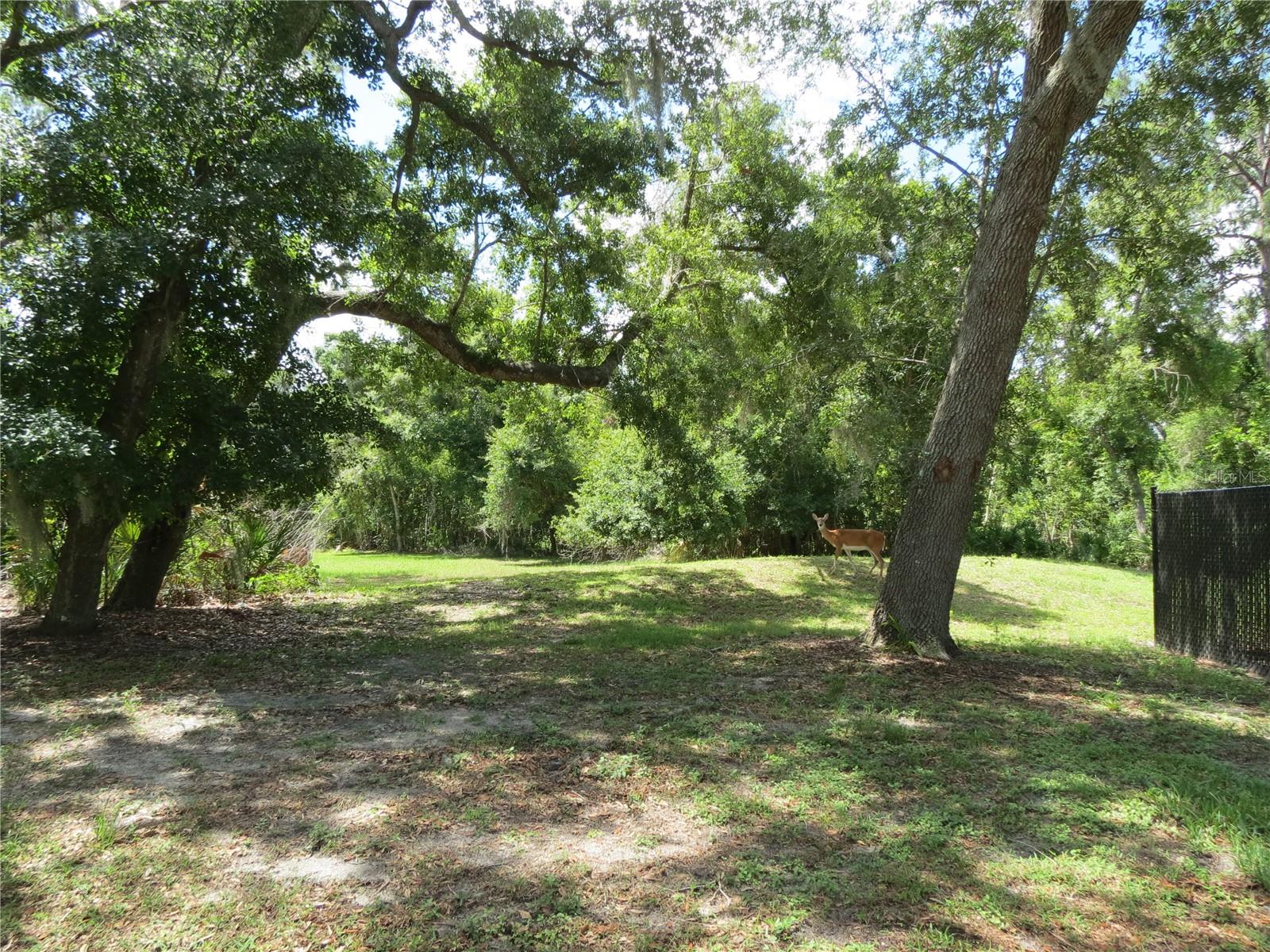 HAMMOCKS II - Residential