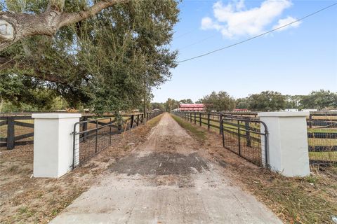 Tiny photo for 10575 SW 27th Avenue, Ocala, FL 34476 (MLS # OM714749)