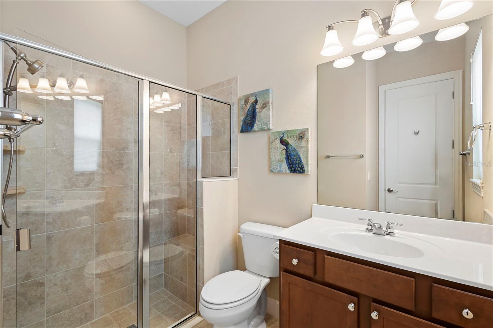 VICTORIA PARK INCREMENT 03 - Residential