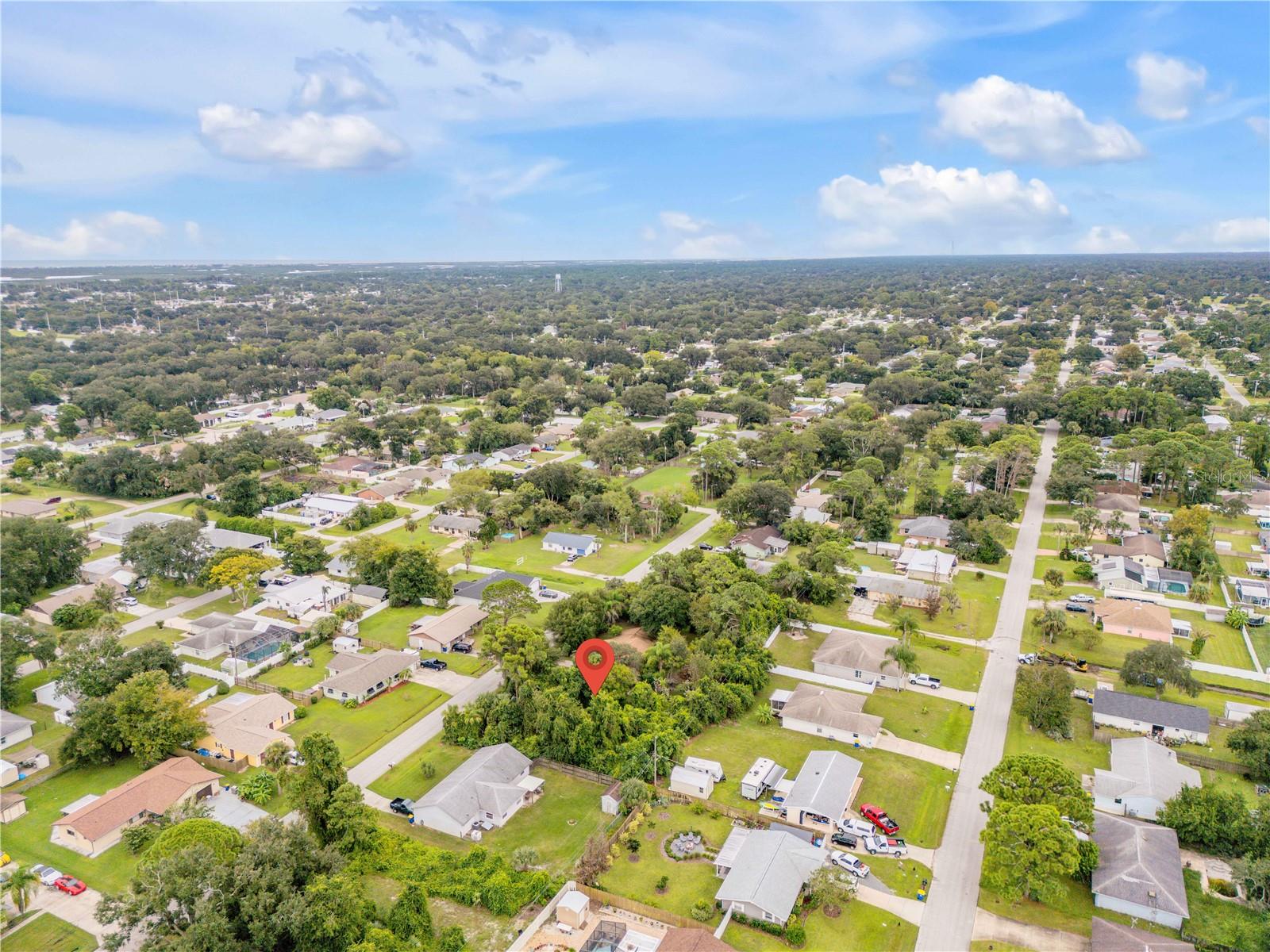 UMBRELLA TREE DRIVE