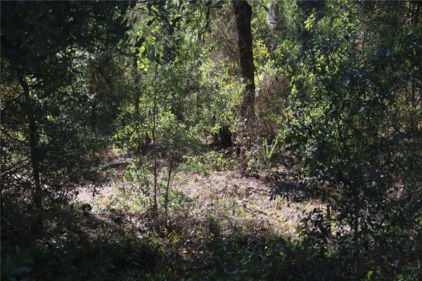 00 SOUTHEAST AVENUE, WEBSTER, FL 33597 - Image 3ede4e86ac62e5e0cabf2165ccc545bb/1802547253