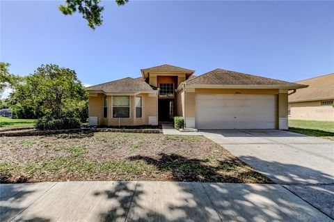 10002 OASIS PALM DRIVE TAMPA FL 33615