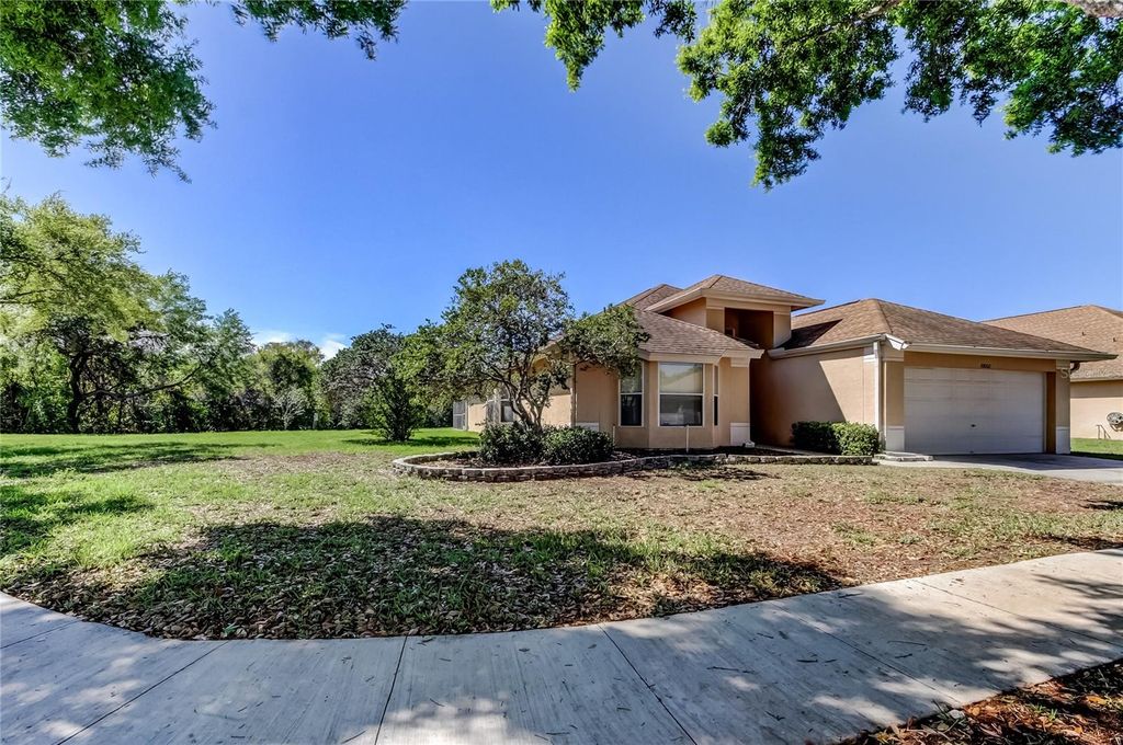 Photo of 10002 Oasis Palm Drive, Tampa, FL 33615 (MLS # TB8488397)