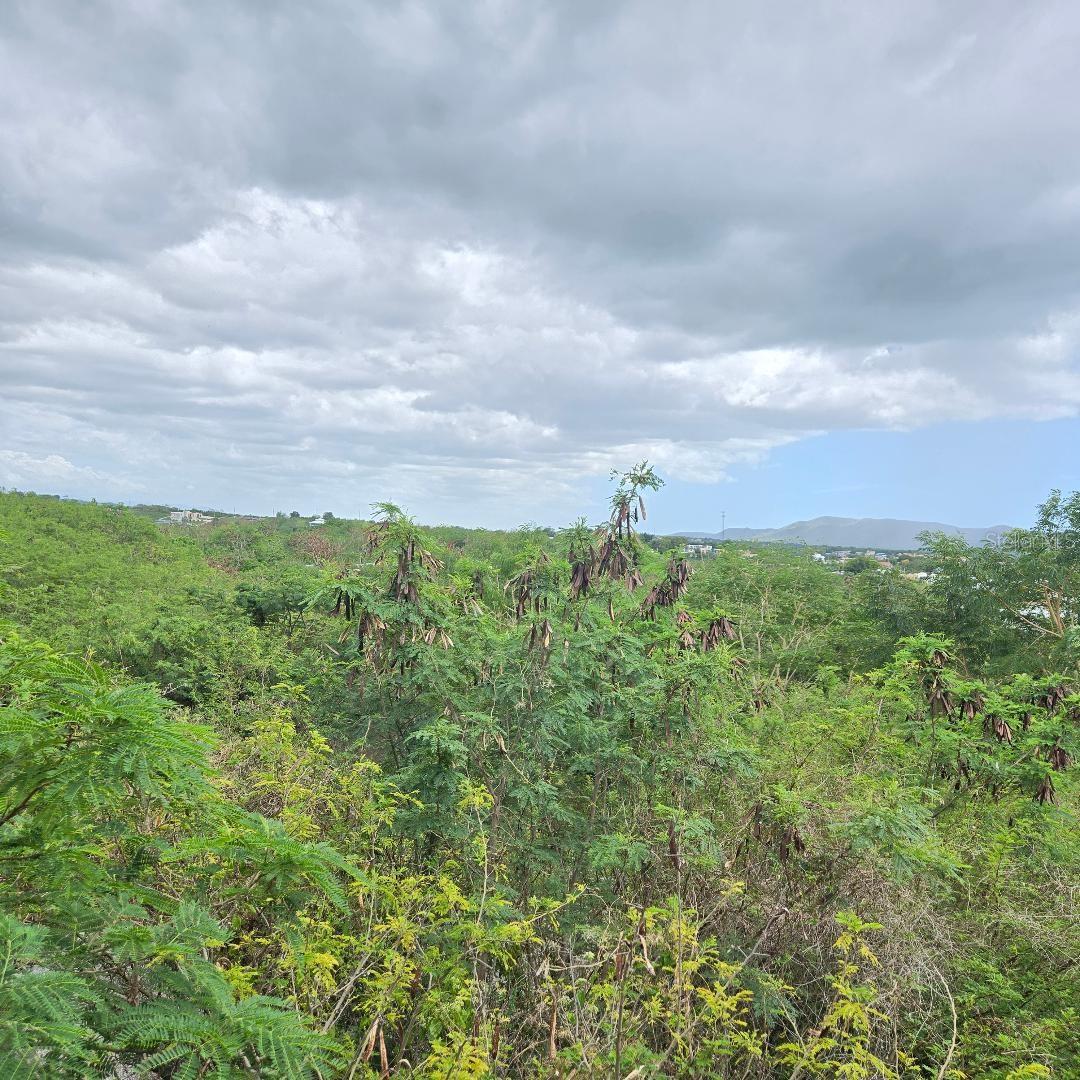 307 PEDERNALES WARD