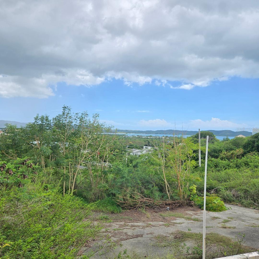 307 PEDERNALES WARD