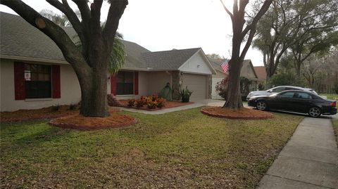 Photo of 15005 Redcliff Drive, Tampa, FL 33625 (MLS # O6385936)