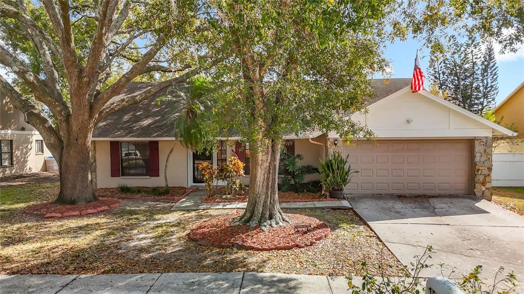 Photo of 15005 Redcliff Drive, Tampa, FL 33625 (MLS # O6385936)