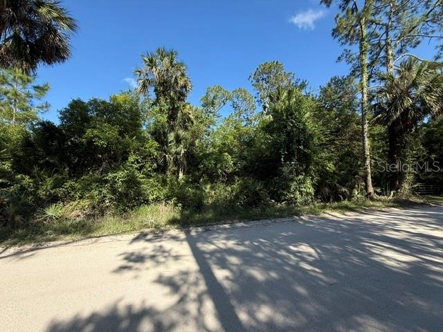 COUNTY ROAD 75