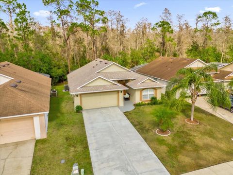 A home in KISSIMMEE