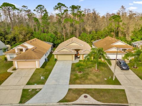 A home in KISSIMMEE