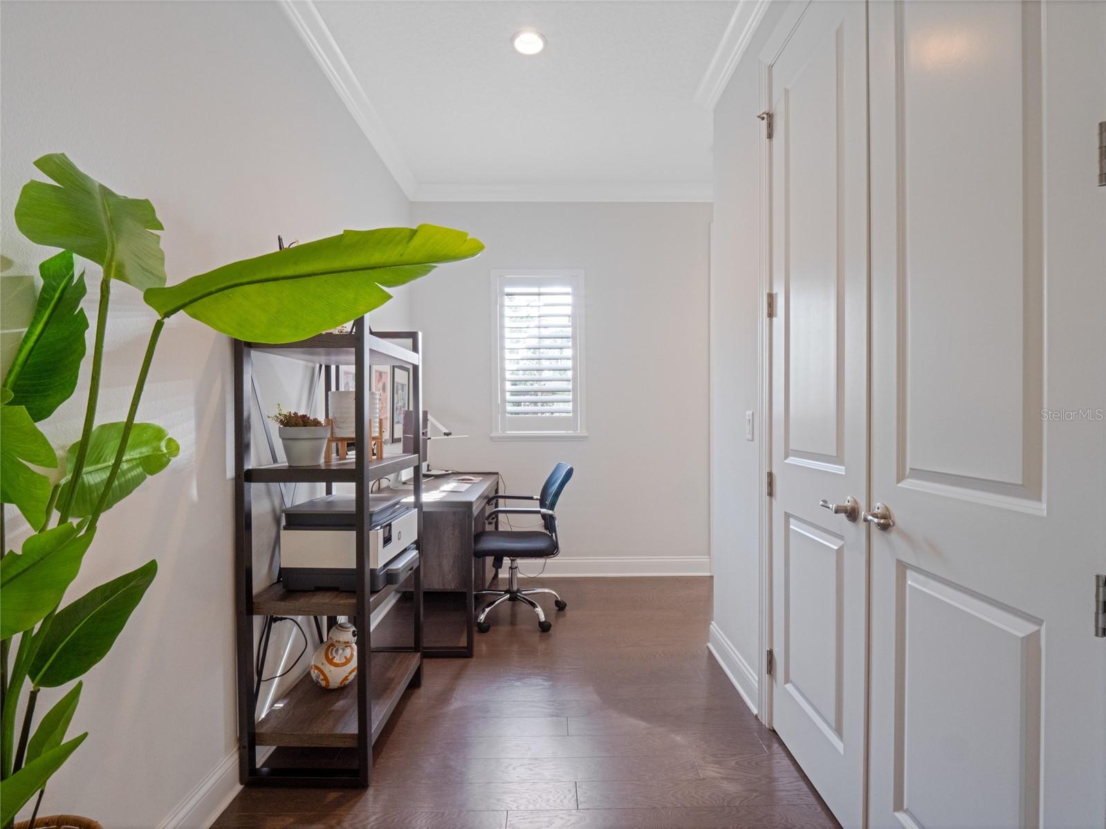 ROYAL CYPRESS PRESERVE - Residential