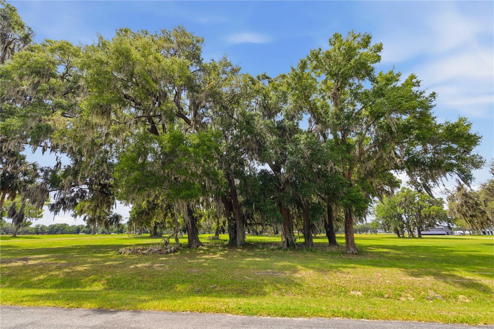 JUMBOLAIR AVIATION ESTATE - Land