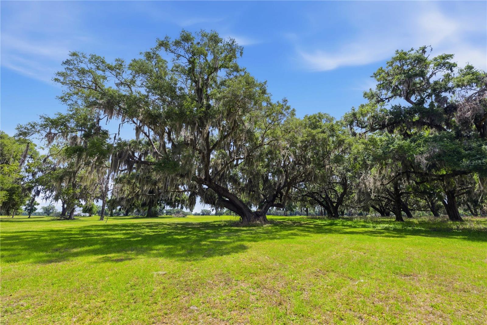 JUMBOLAIR AVIATION ESTATE - Land