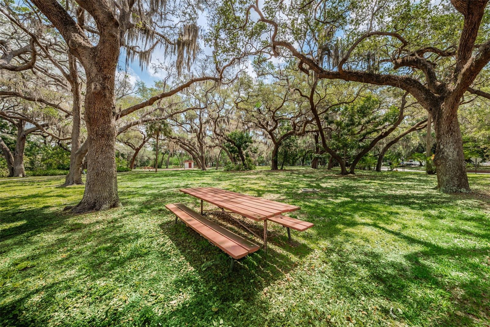 SEVILLE CONDO 2 - Residential