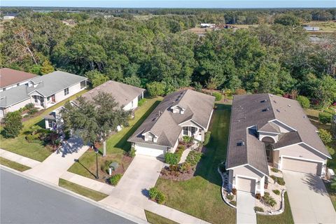 A home in MOUNT DORA