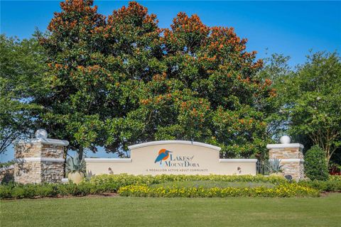 A home in MOUNT DORA