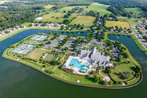 A home in MOUNT DORA