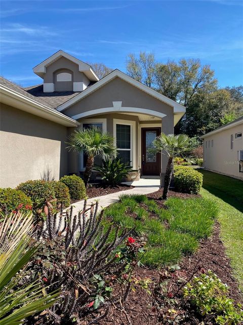 A home in MOUNT DORA