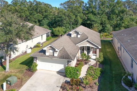 A home in MOUNT DORA