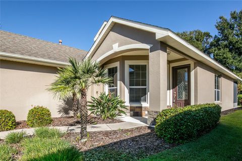 A home in MOUNT DORA