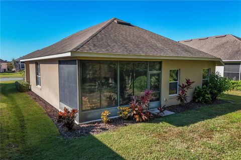 A home in MOUNT DORA