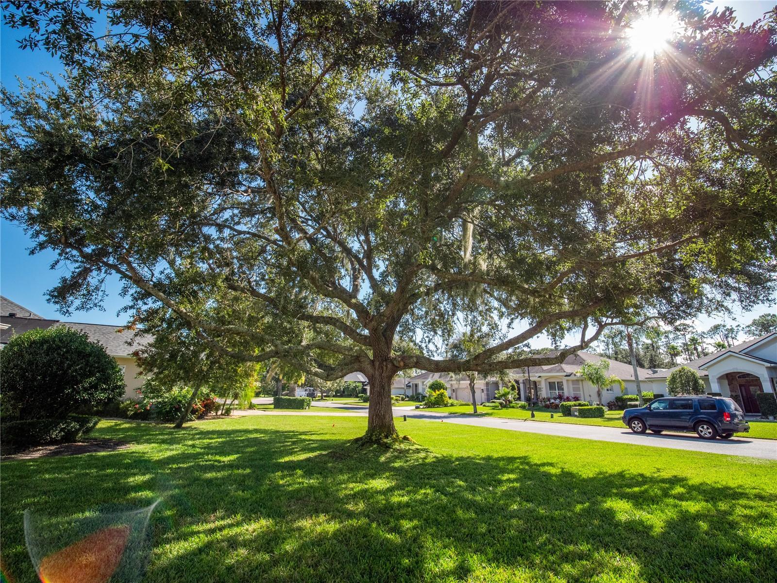 PLANTATION BAY PH 01A UNIT 01-6 - Residential