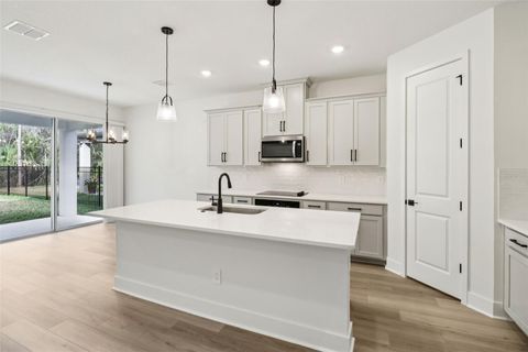 Tiny photo for 2158 Wildberry Way, Minneola, FL 34715 (MLS # O6369332)