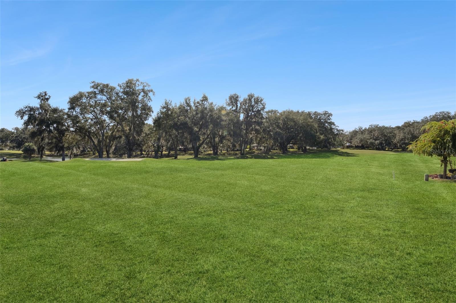 LADY LAKE ORANGE BLOSSOM GARDENS UNIT 08 - Residential