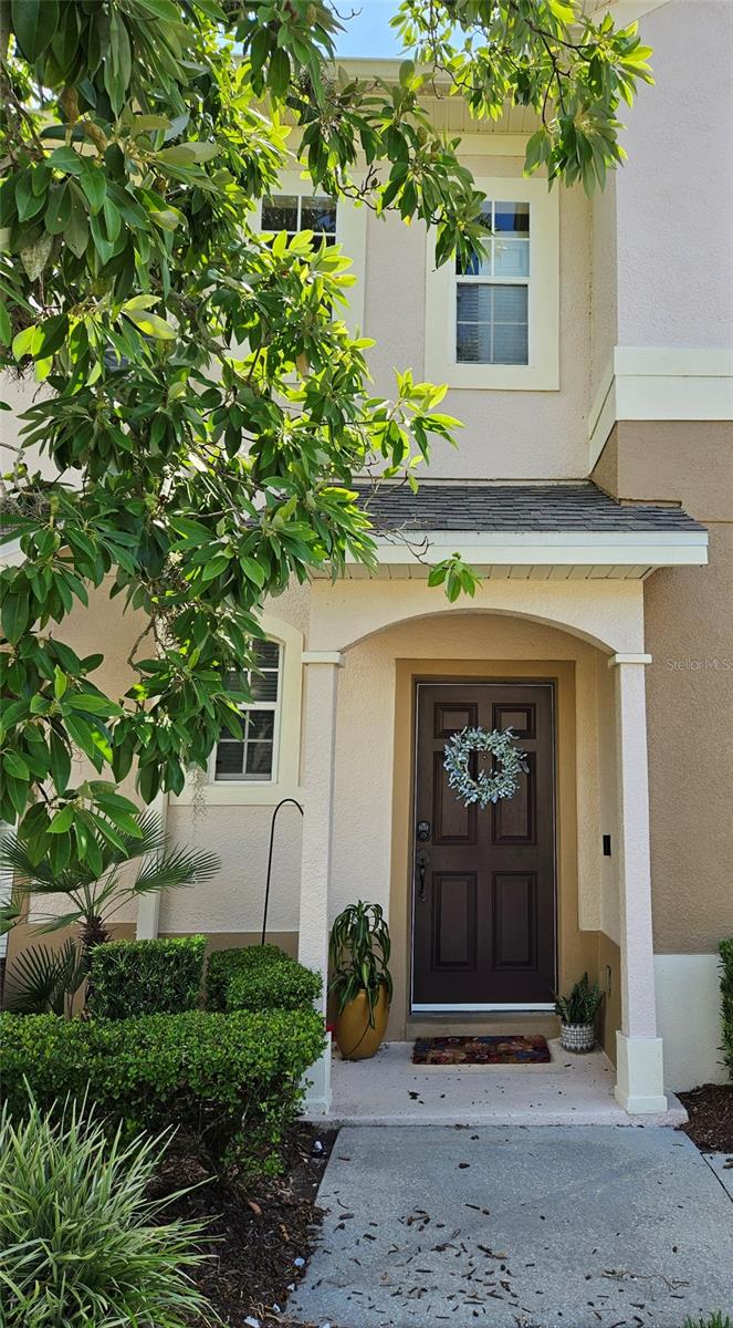 554 PINEBRANCH CIRCLE
