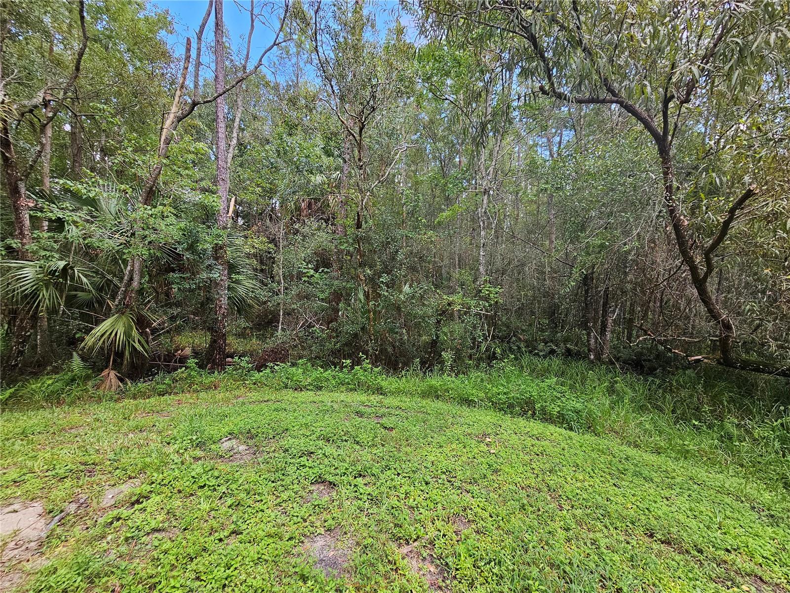 EMERALD POINTE TWNHMS AT TAMPA PALMS - Residential Lease