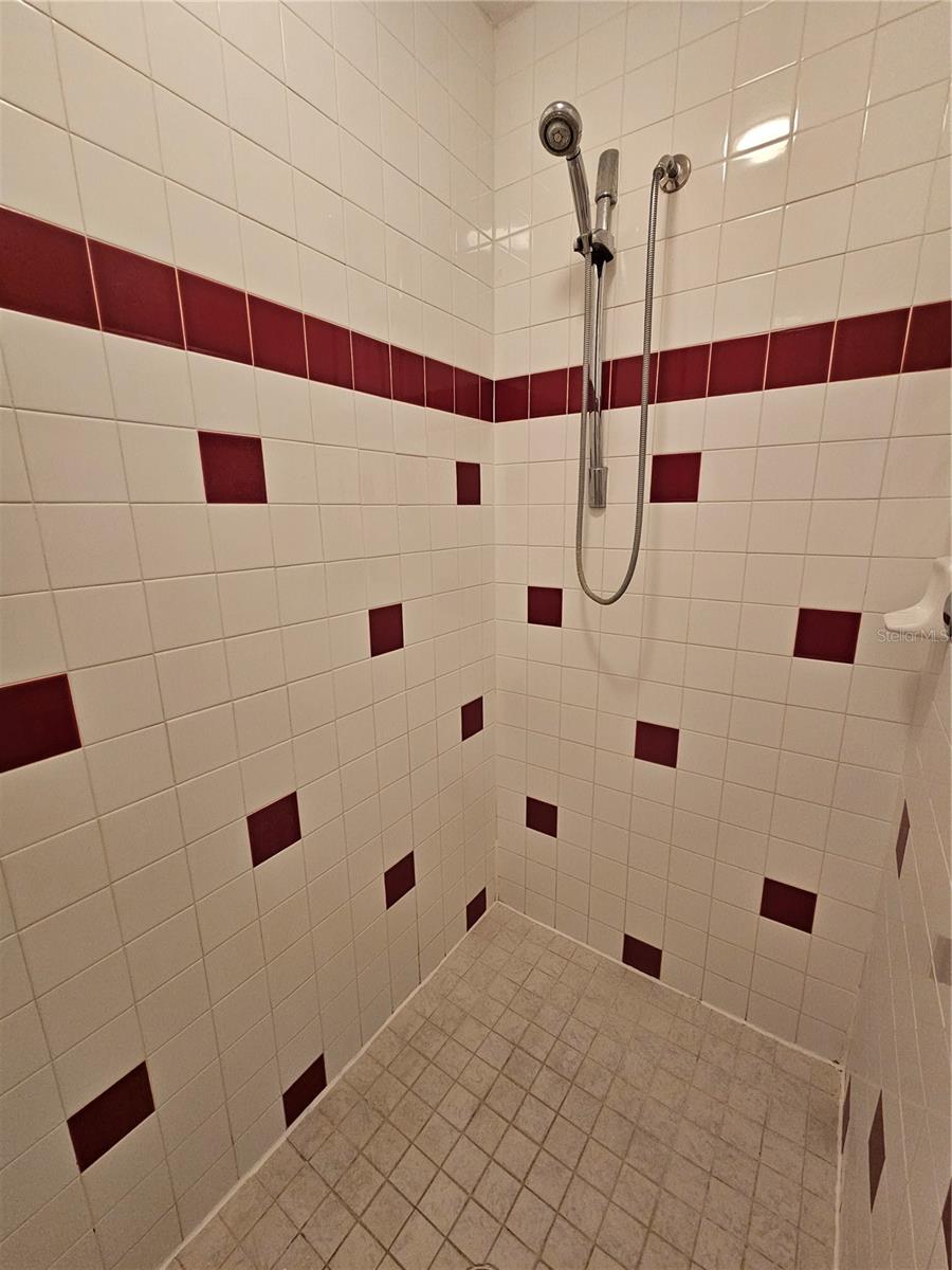 EMERALD POINTE TWNHMS AT TAMPA PALMS - Residential Lease