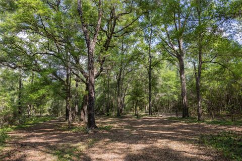 11630 NW 161ST STREET ALACHUA FL 32615