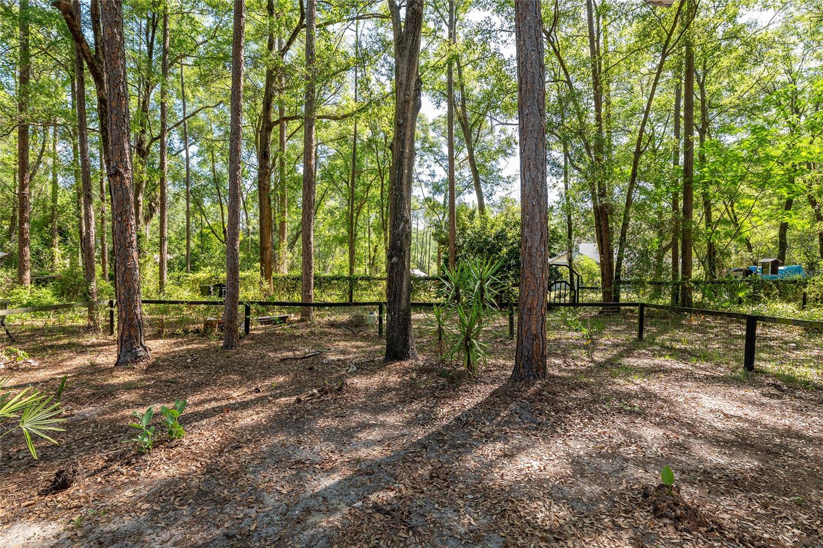 KANAPAHA PINES - Residential